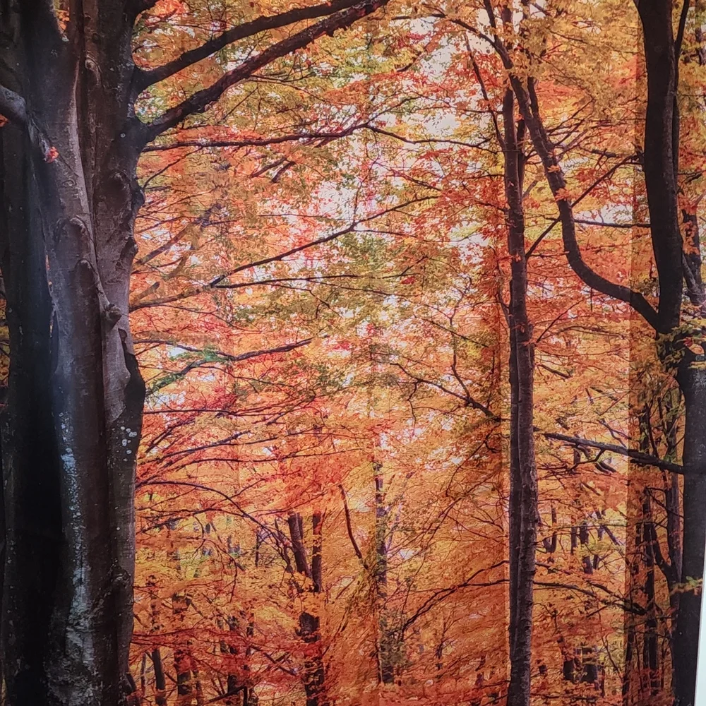 70x70 shower curtain